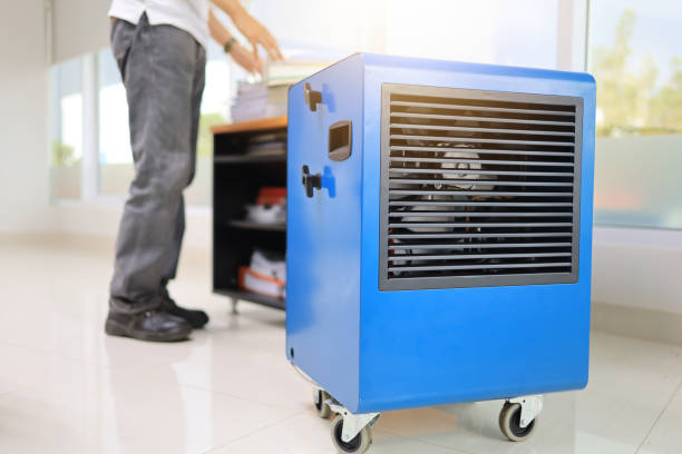 Best Mold Odor Removal Services  in Absecon Highlands, NJ