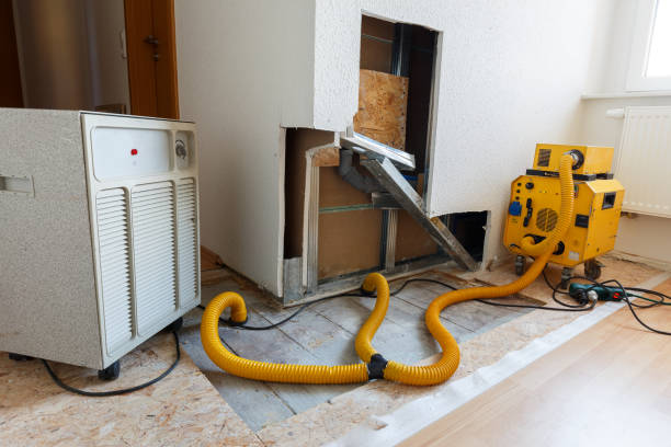 Best HVAC Mold Inspection and Cleaning  in Absecon Highlands, NJ