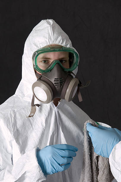 Best Basement Mold Removal  in Absecon Highlands, NJ